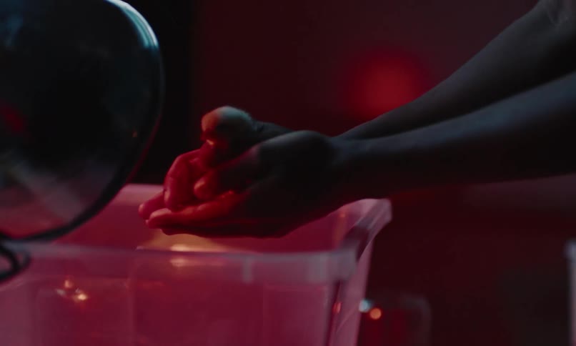 A man grabs a little chick from the box where it lives picks it up and cries