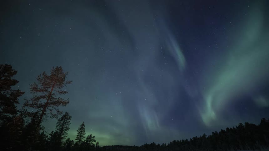 Aurora borealis weaves through the air over conifer forest at night
