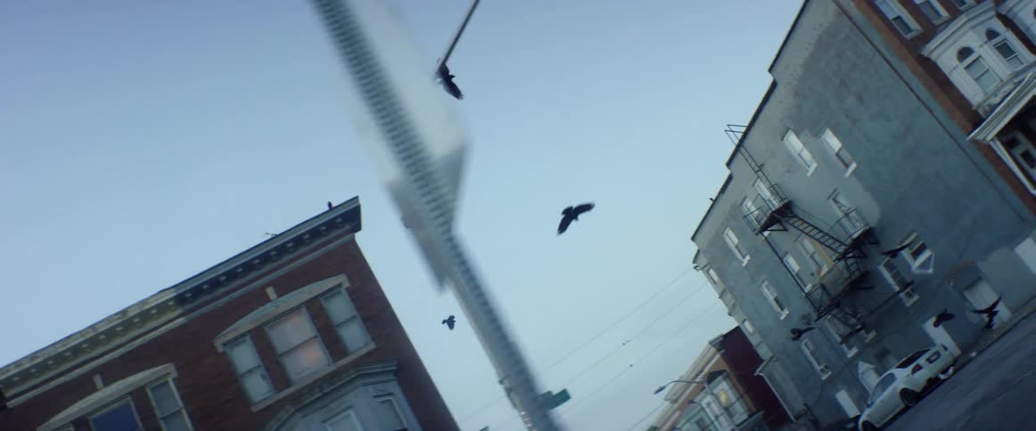 Birds fly off a lamp post near some buildings