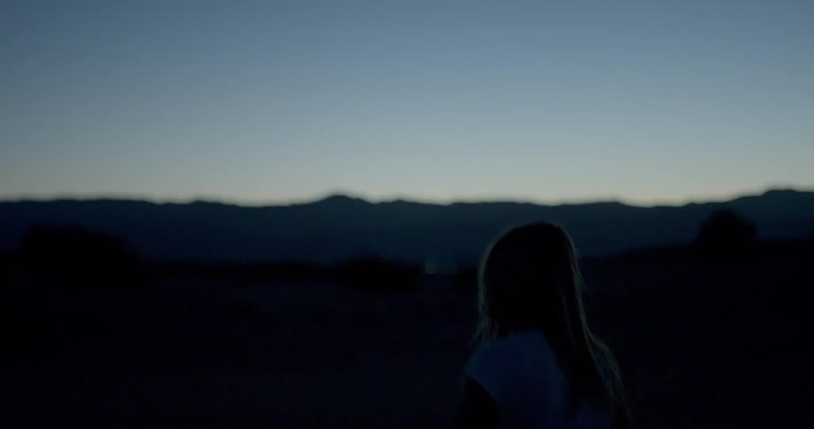 A woman is walking on a field at dawn briefly looking back