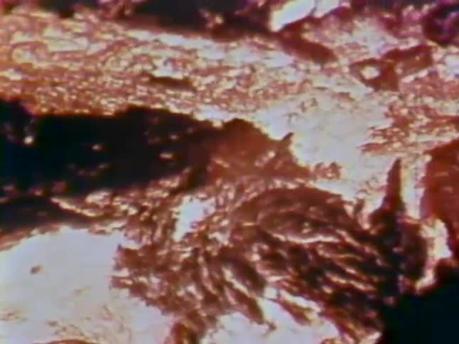 Lava flows downstream