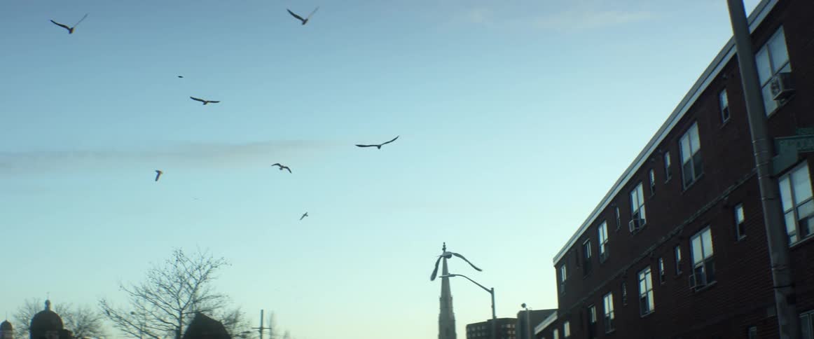 Birds fly in the sky by a building