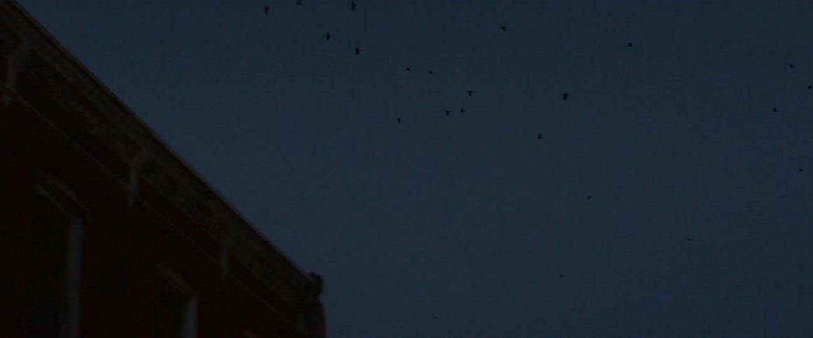 A flock of birds fly above a rooftop