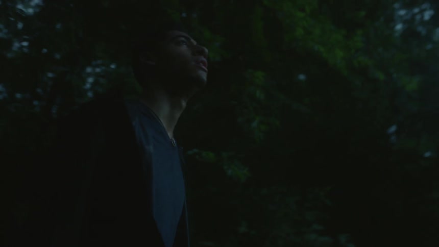 A man in a blue shirt comes out of the woods