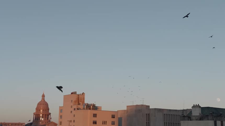Birds fly over buildings at sunset