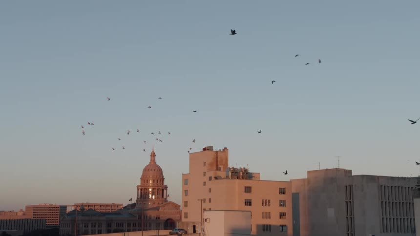 Birds fly in the sky above buildings