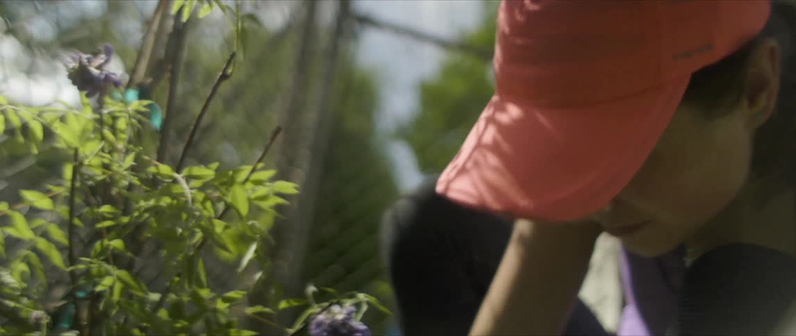 A person is working out in their yard on flowers in a close up view