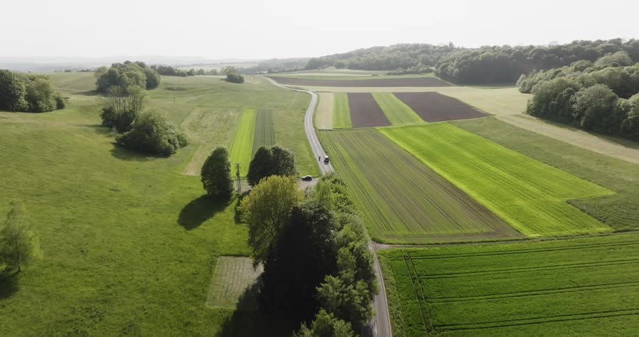 An aerial of lush green fields along a dense tree line with roads traveling next to the fields