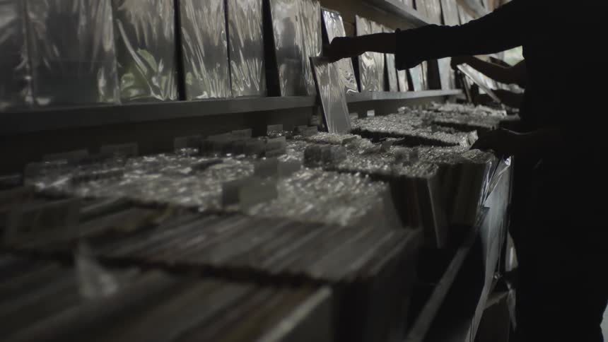 Person stands silhouetted in music store while browsing albums