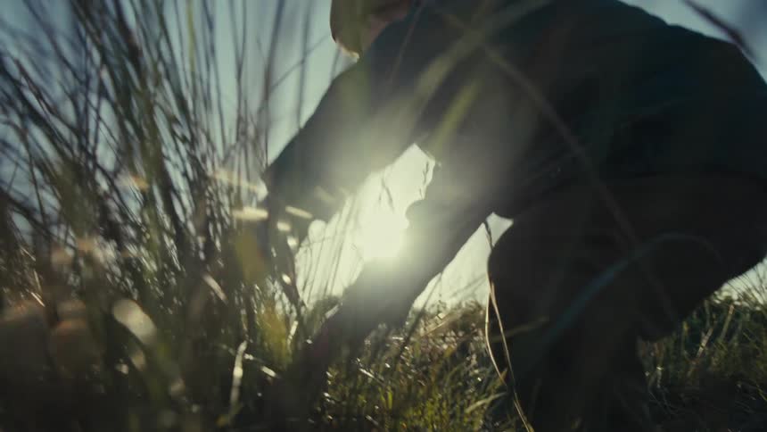 Child wearing winter clothes playing with grass in a field