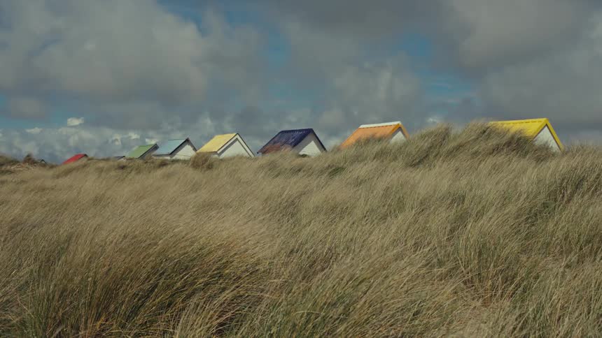 Tall dry grass is moving in the breeze with buildings in the distance with different colored roofs under a cloudy sky