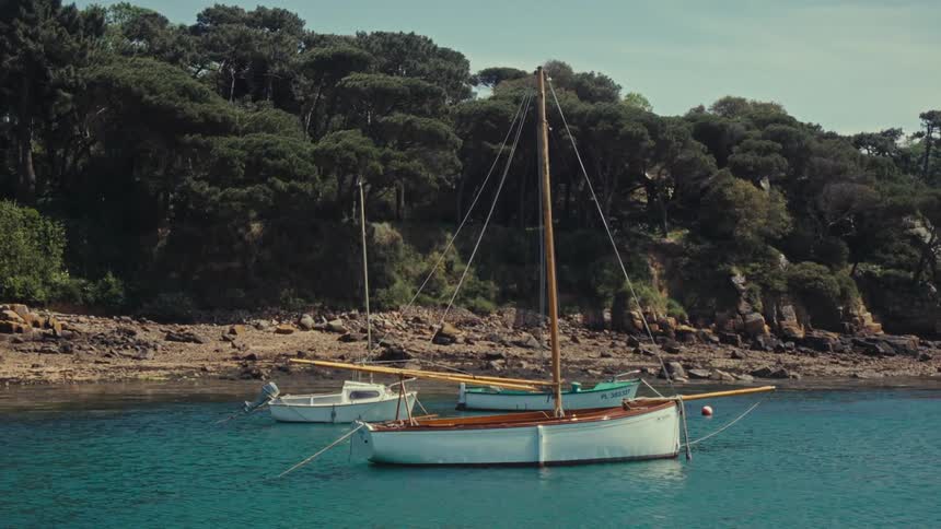Sailboats docked in a bay on an island