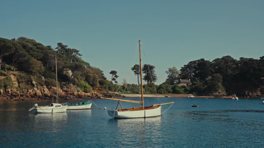 Boats anchored in a small cove near rocky and tree covered ccoasts