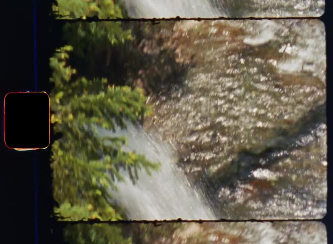 A river flowing on stones in a forest during the day