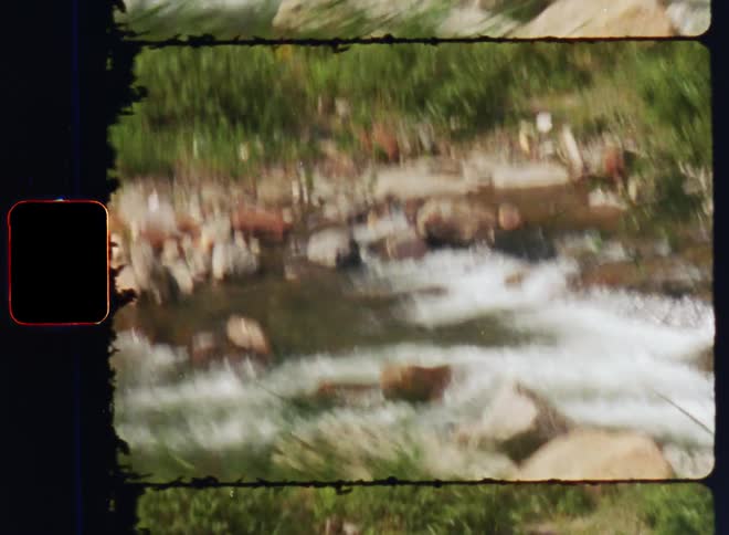 The stream is full of logs and rocks