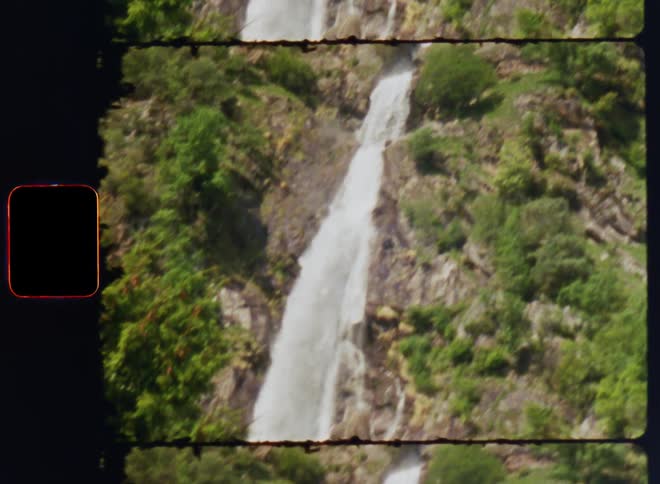 The view is of the nature area in the day time