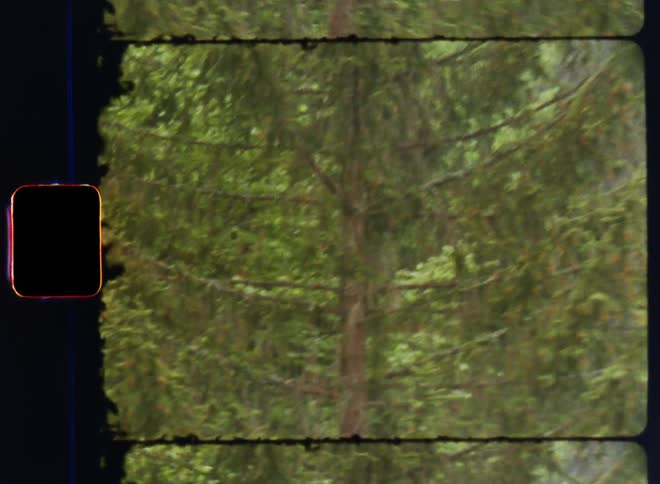 A vintagelooking video shows a wooded area with lots of pine trees being viewed from above