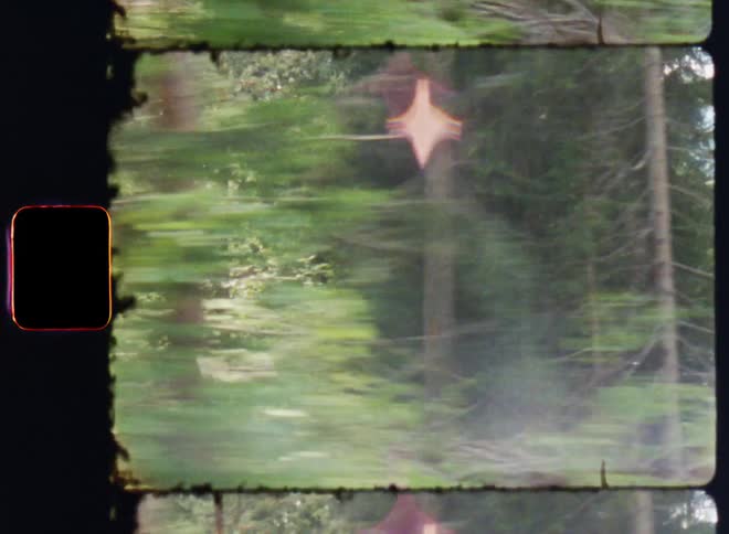The sun is shining into the forest