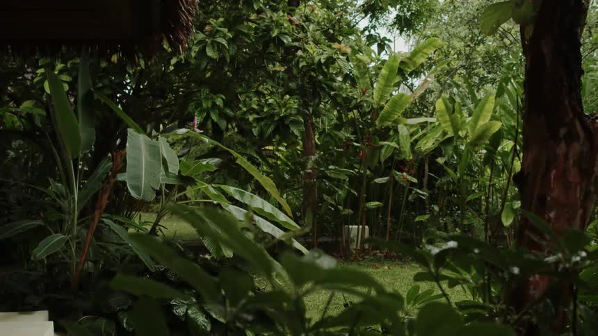 Rain is falling on a forested area outside of someones backyard