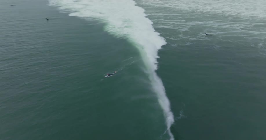 A surfer duck dives a wave at Malibu first point