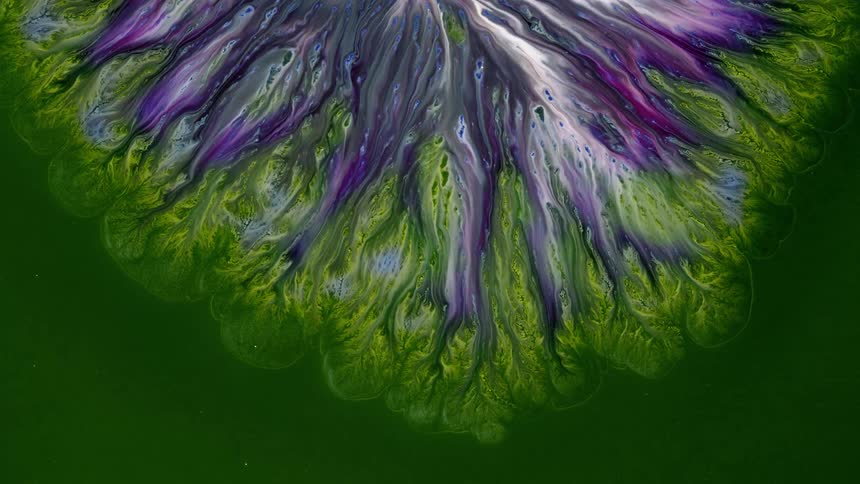 white and purple roots spread across green background in circular shape in this abstract fludi art image