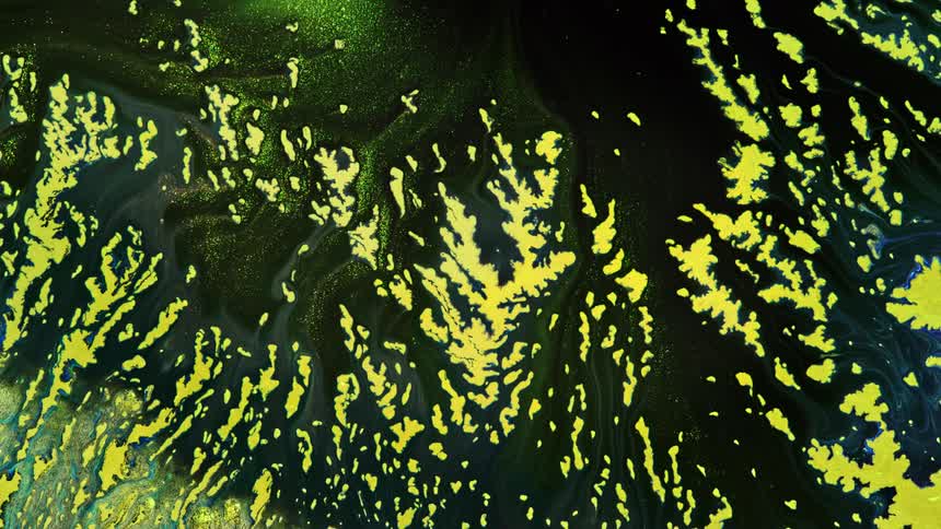 dark green rivers unfold in this complex visual art video