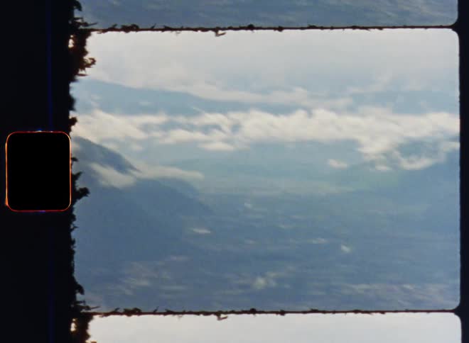 A view of a forest with trees and mountain