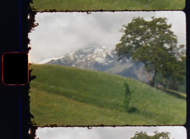 A field with green grasses and a mountain view afar off