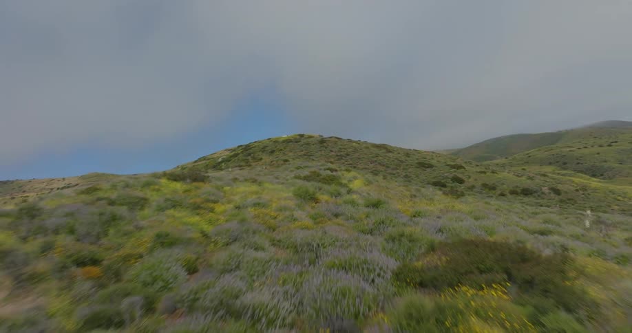 Aerial view in motion over the Santa Monica mountains near the coast