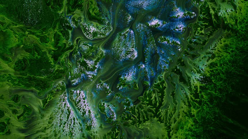 A mixture of deep green color and silver paint flowing downward