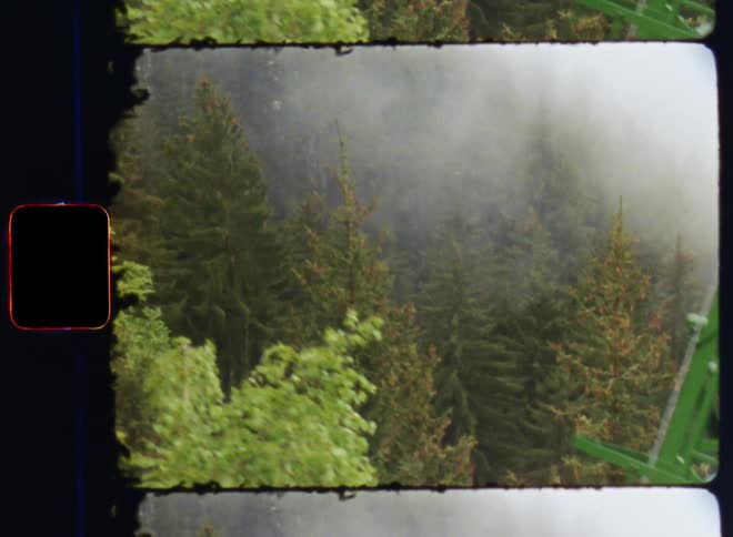 Aerial view of a misty forest