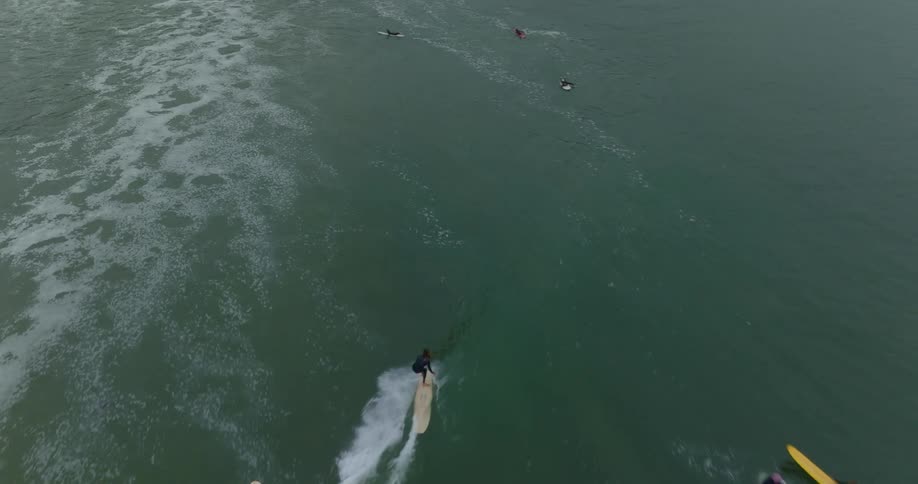 Surfers on longboards share a wave at Malibu first point