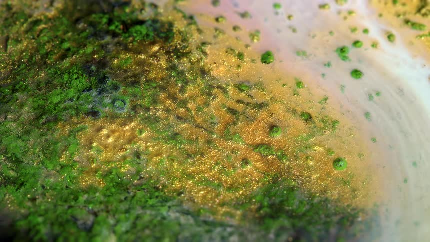 view of a golden planet with green woods being flooded