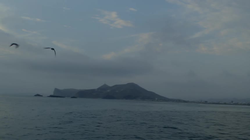A flock of seagulls fly over the water along the coast with mountains in the distance under a cloudy sky