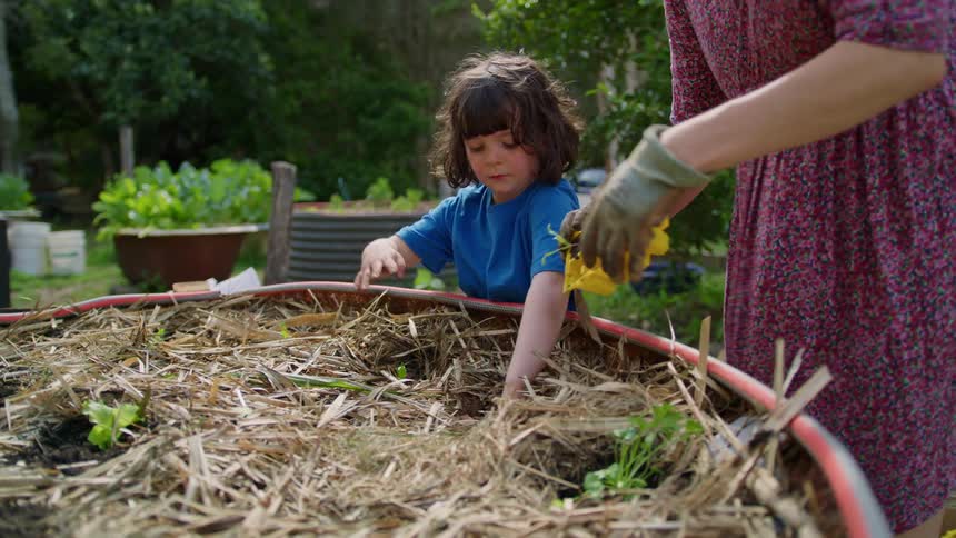 Mother with son and daughter planting on a garden