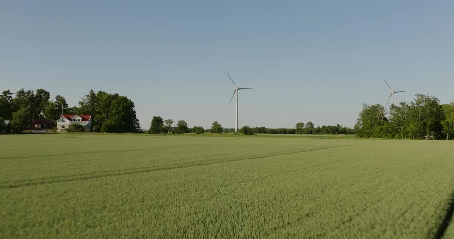 Wind turbines spin in a vast field on a clear day