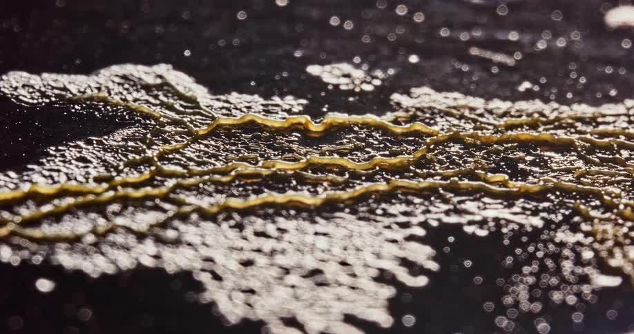 Yellow brown ridges grown across gleaming surface