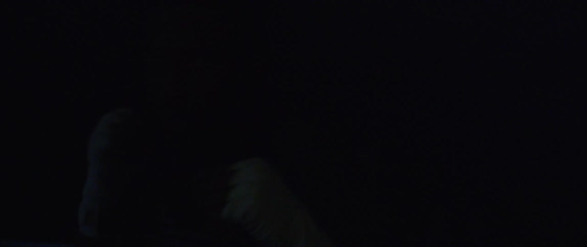 Man with fingerless glove in a dark room practicing boxing punches