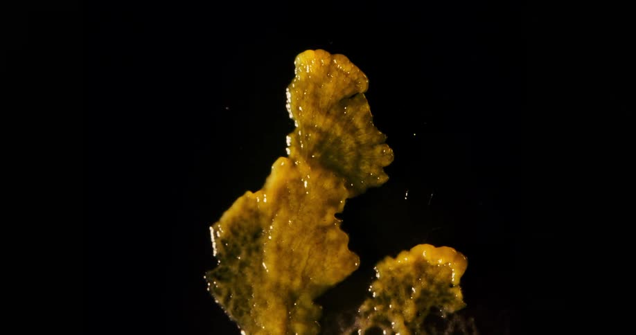 The liquid bubbles and moves