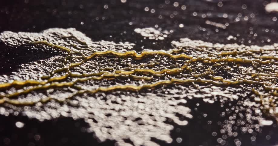 The yellow spore pulsates