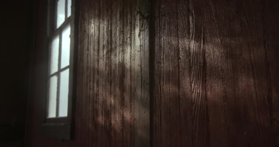 The shadow of leafs blowing in the wind is cast upon a wooden wall