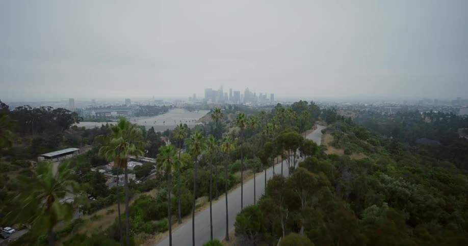 The camera passes above a treelined street near a major metropolitan city