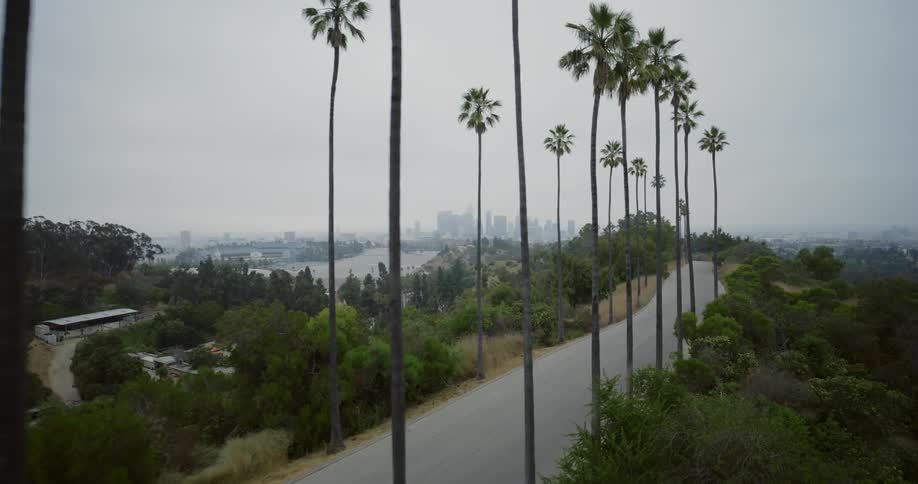 The long road leads to the foggy city