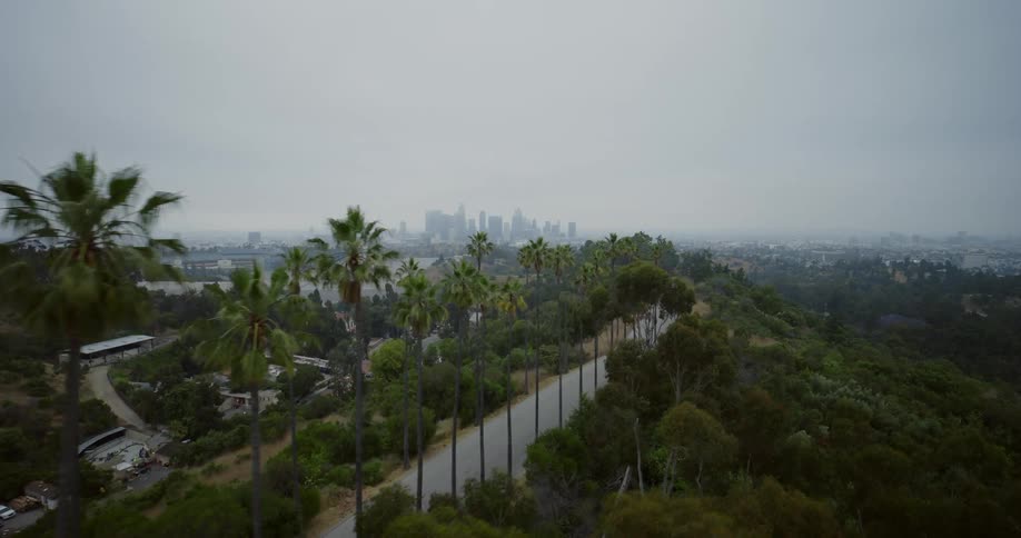 A road on a hill is by the homes