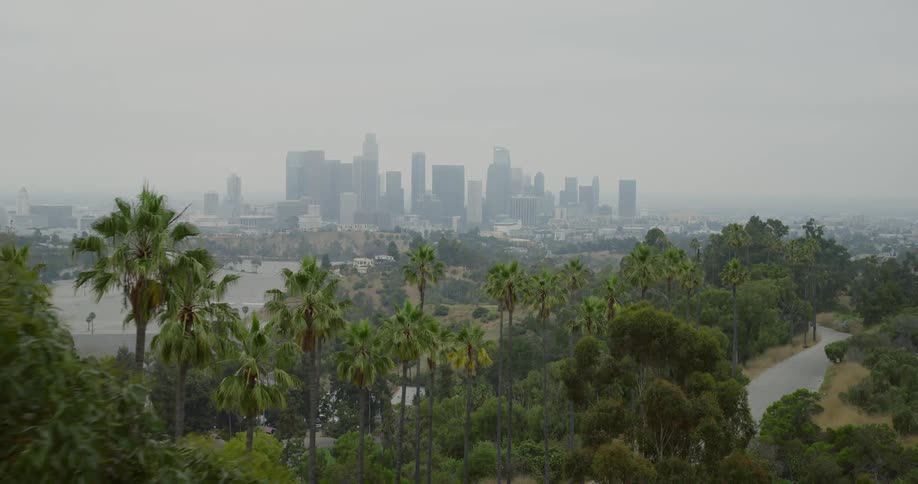 Fog covers the city in the distance