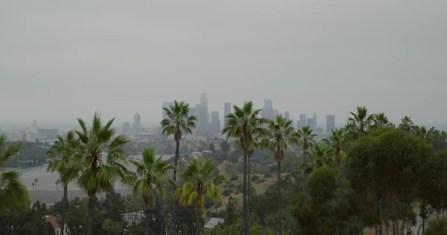 Distant skyscrapers loom in the fog on a cloudy day