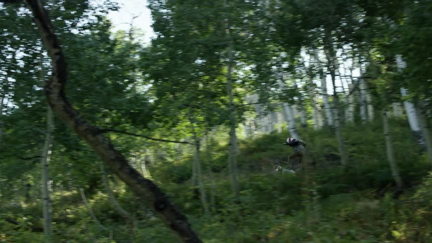 A man rides a motorcycle standing through a forest