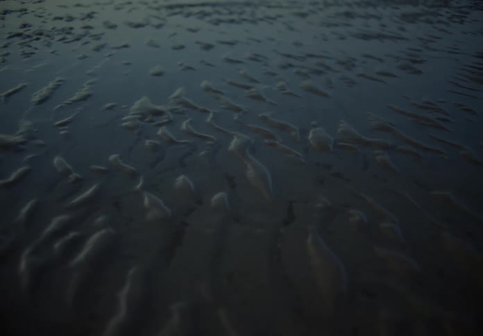 There are several tire tracks from vehicles that left imprints all over the wet sandcovered ground