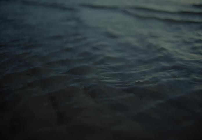 Gentle waves ripple in the ocean