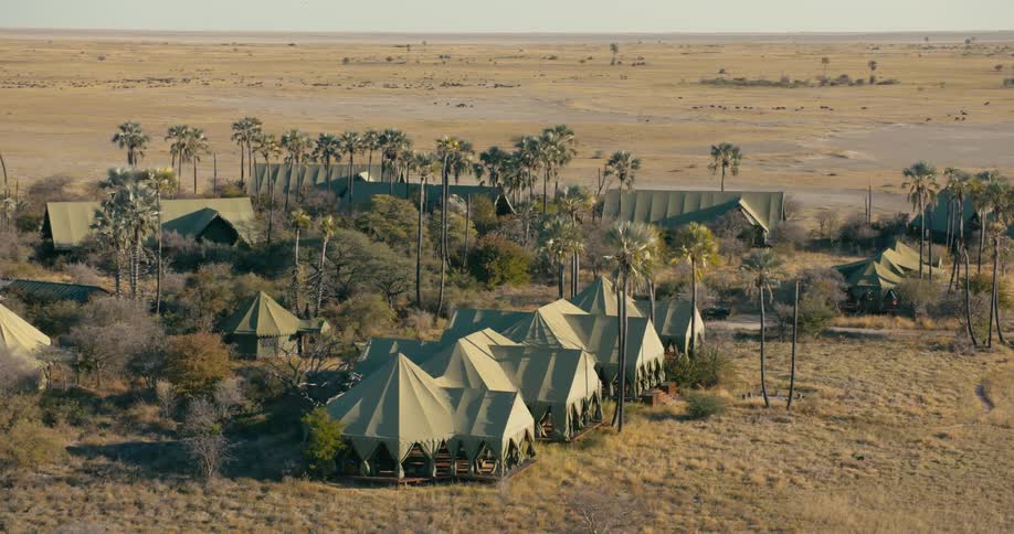 Many tents next to trees in the middle of the desert